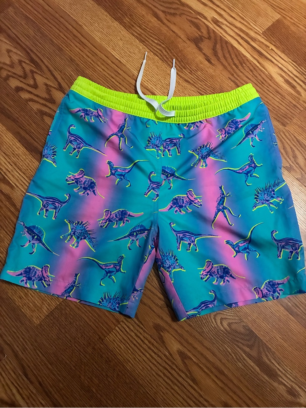chubbies Kids Neon Dinosaur Swim Trunks - Turquoise, Pink & Neon Yellow
